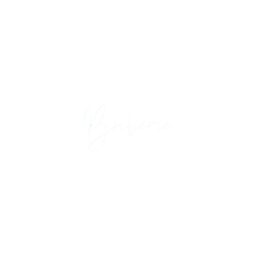 Bribeme.in